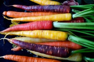 Did you know carrots aren't always orange?