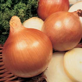Copra Onions